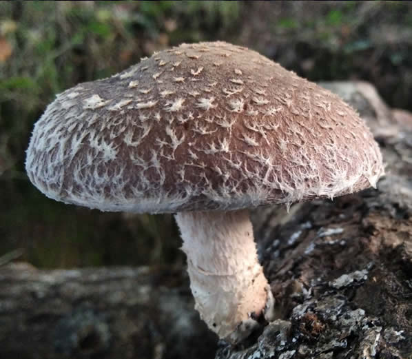 Portfolio Project Image